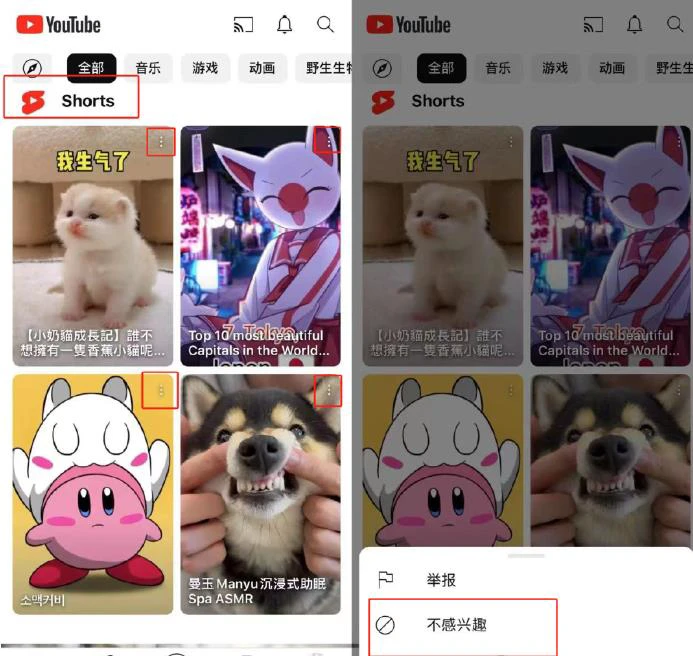 YouTube播放器