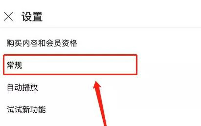 YouTube播放器