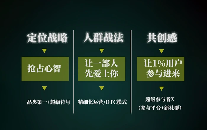 定位战略、人群战法、共创感