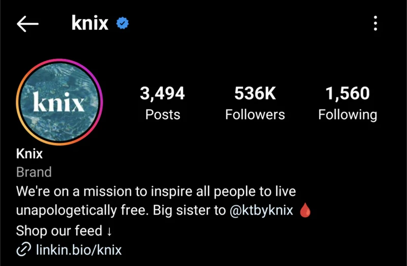 Knix的Instagram简介明确介绍了品牌宗旨