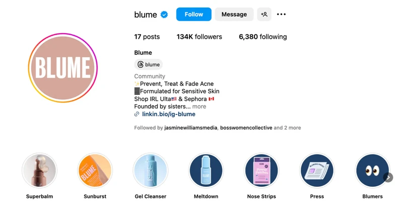 Blume的Instagram简介简洁而富有创意