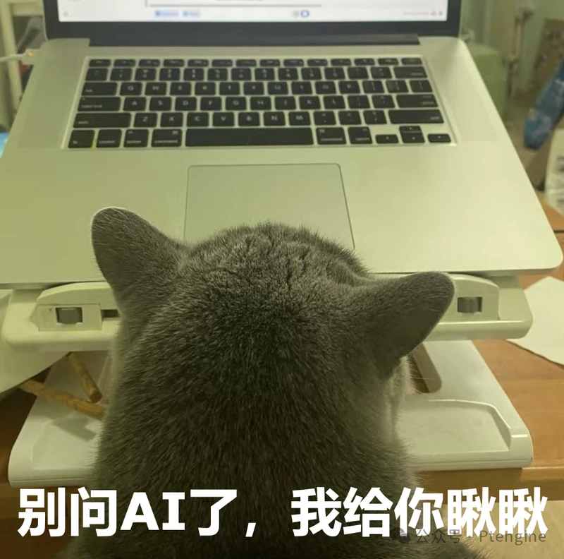 【品牌出海】4月11日美国宠物日营销指南