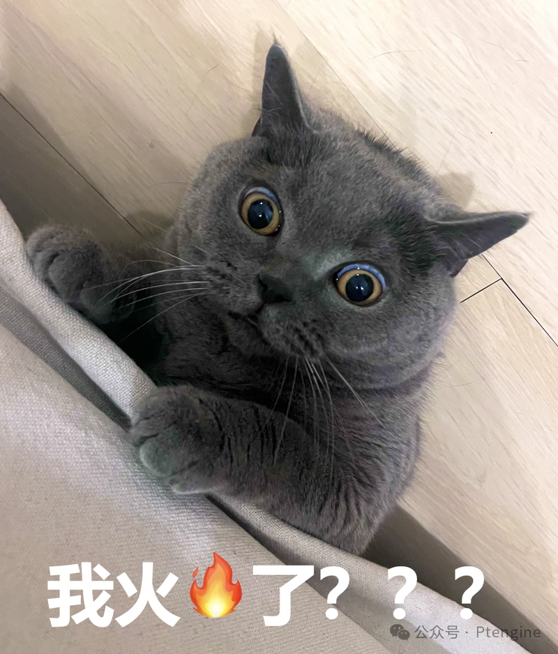 【品牌出海】4月11日美国宠物日营销指南