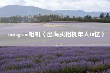 instagram相机（出海卖相机年入10亿）