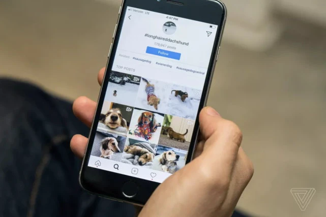 Instagram重磅更新 全新设计探索页面增加视频聊天功能