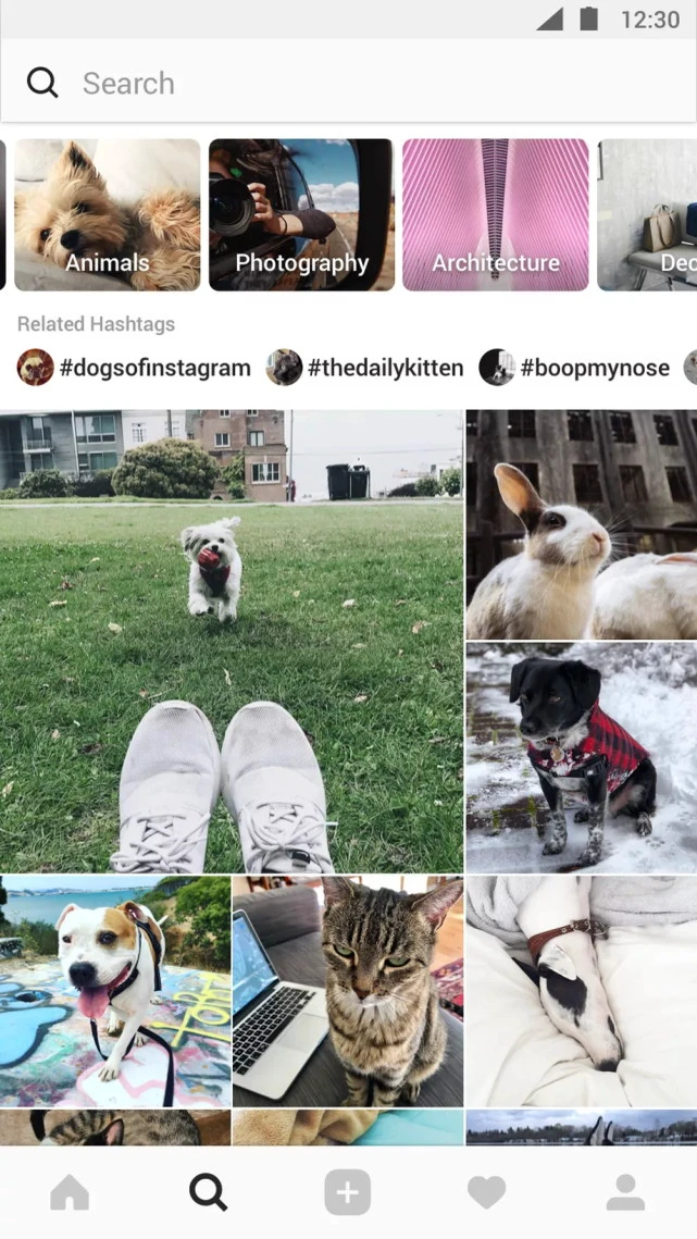Instagram重磅更新 全新设计探索页面增加视频聊天功能
