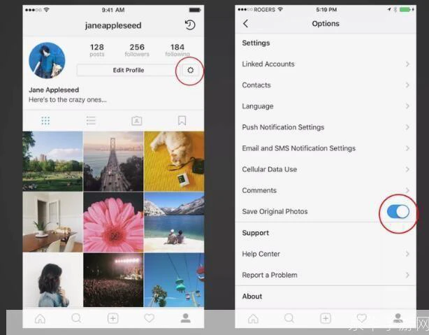 instagram怎么用: Instagram使用指南：如何充分利用这个图片分享平台