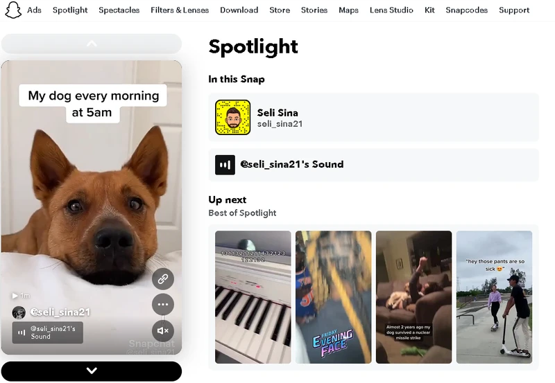 1627631251719941.png 1627631251719941.png